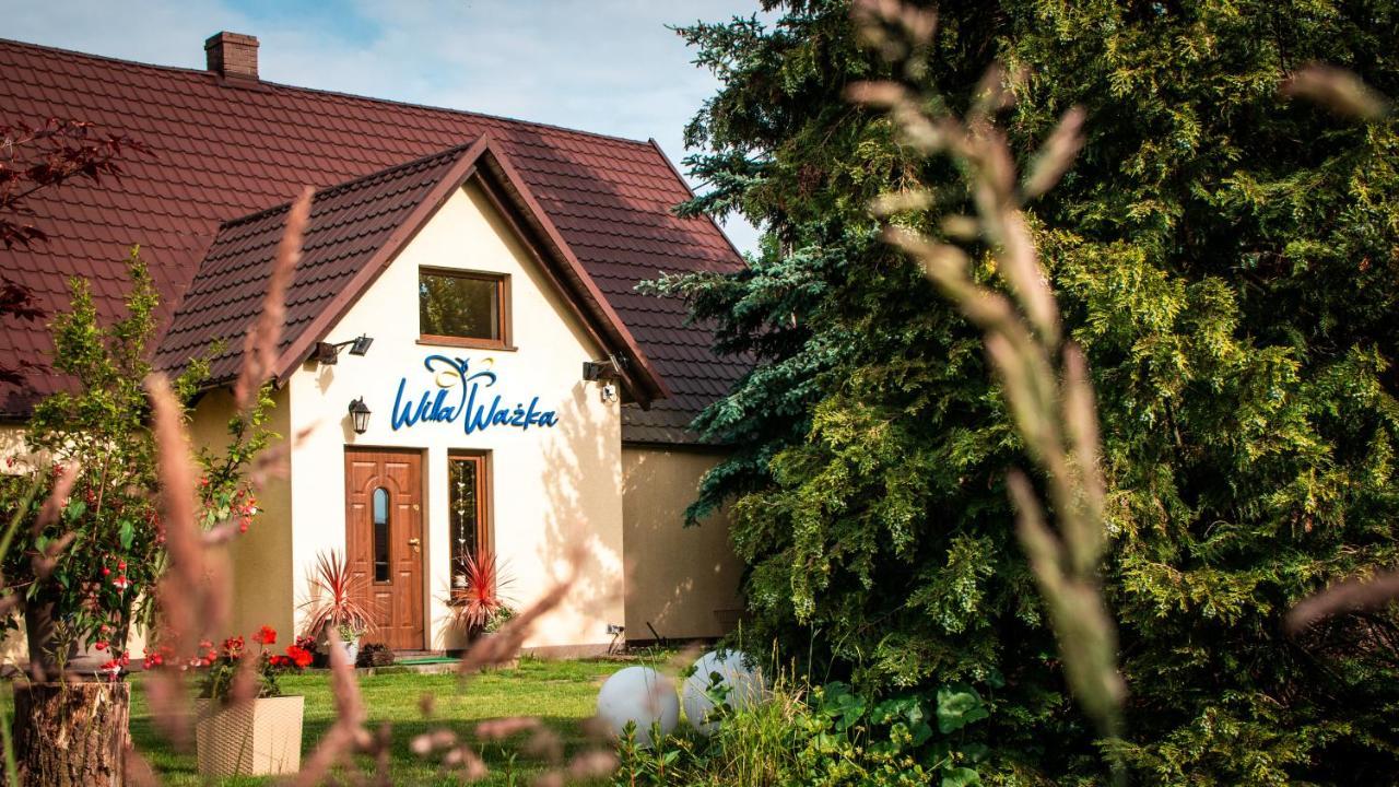 Willa Wazka Zielona Gora  Exterior photo